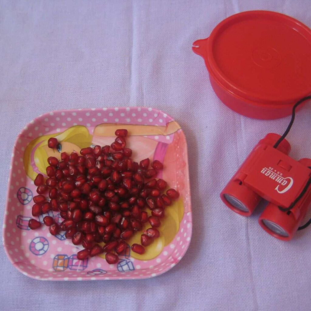 pomegranate in a plate along with red box and binocular