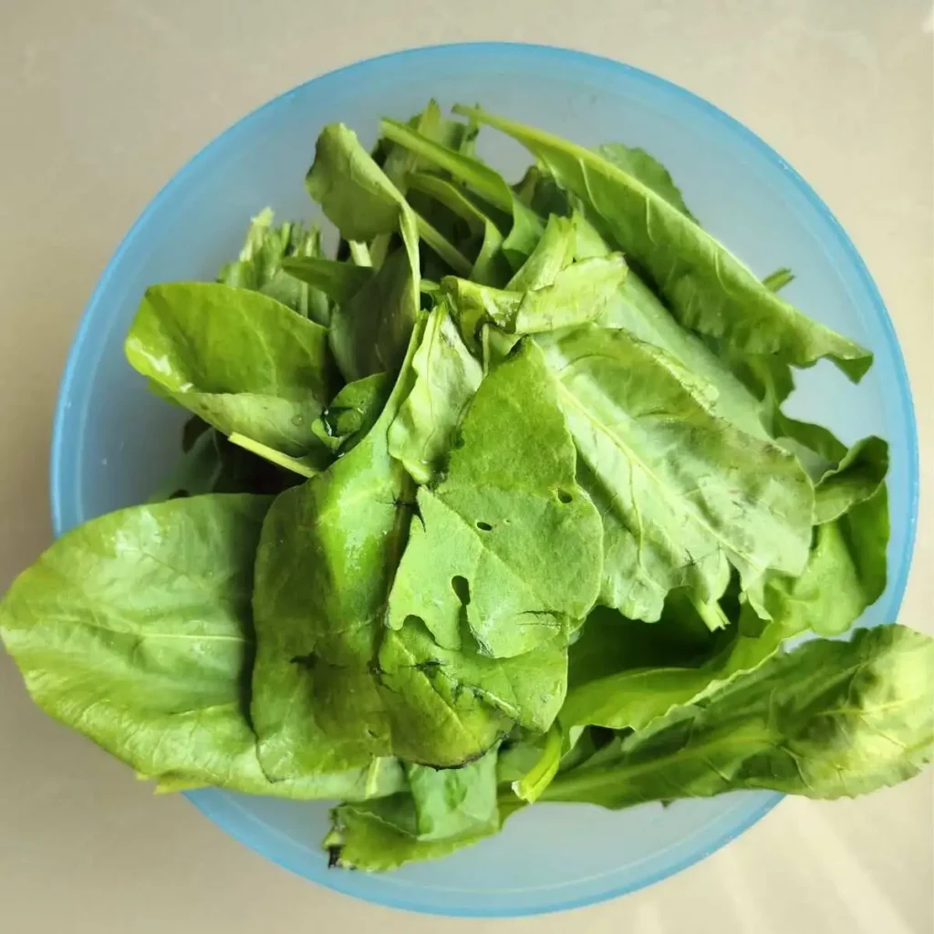 A bowl full of spinach leaves